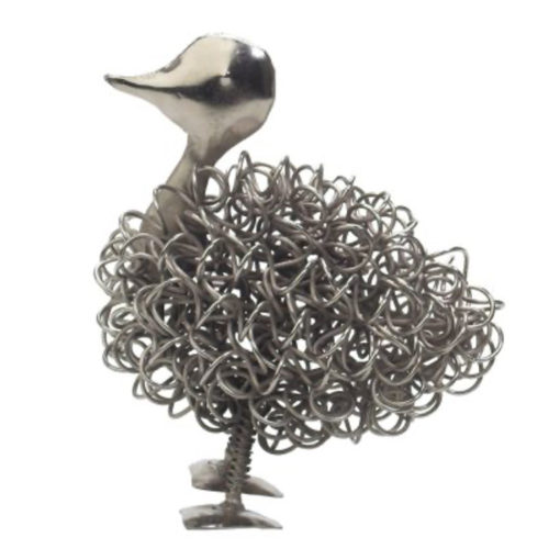 Curly duck