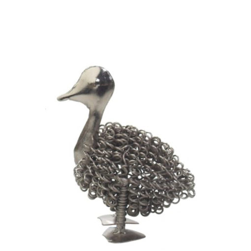 Curly duckling