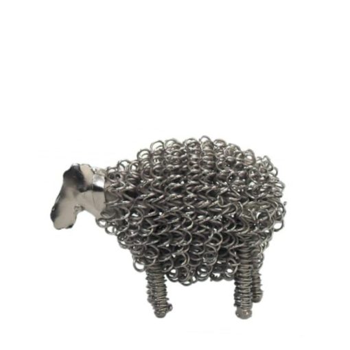 Curly lamb