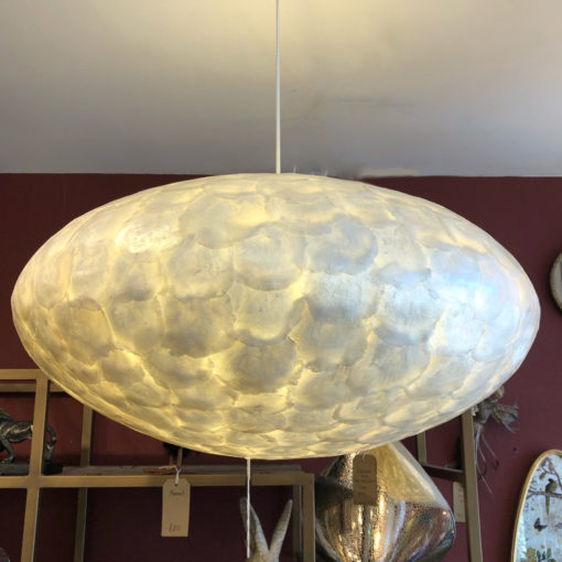 Oyster pearl UFO shades