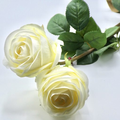 White rose