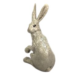 Alternative view of Hannah hare paw up