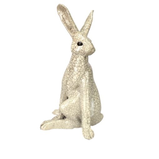 Harriet hare turning