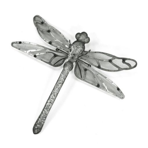 Dragonfly large