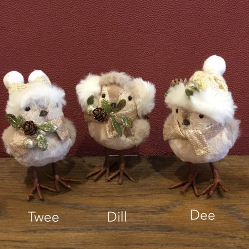 Cosy chicks