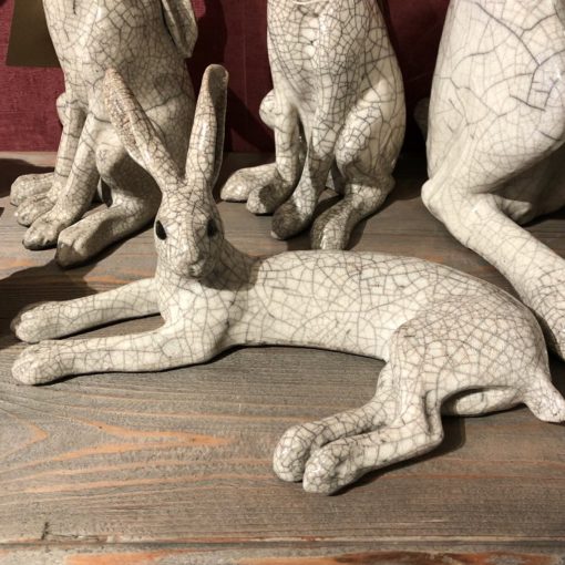 Hares lying down
