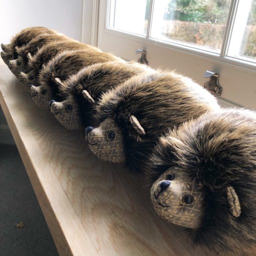 Hedgehogs rule the world draught excluder