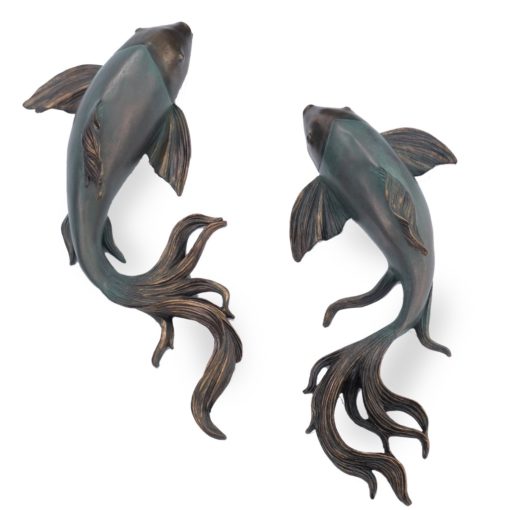 Koi carp