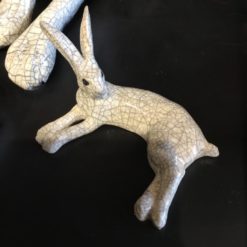 Alternative view of Hares lying down