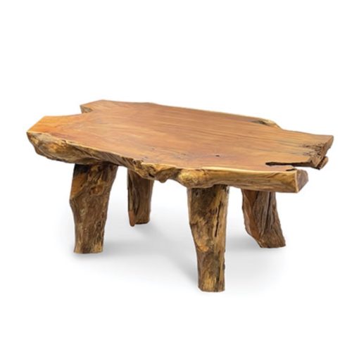 Forest solid teak coffee table