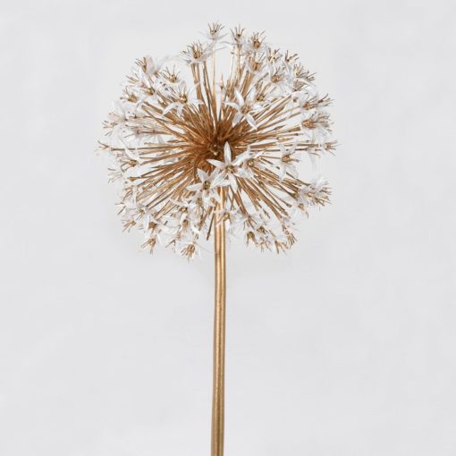 Gold / white allium stem