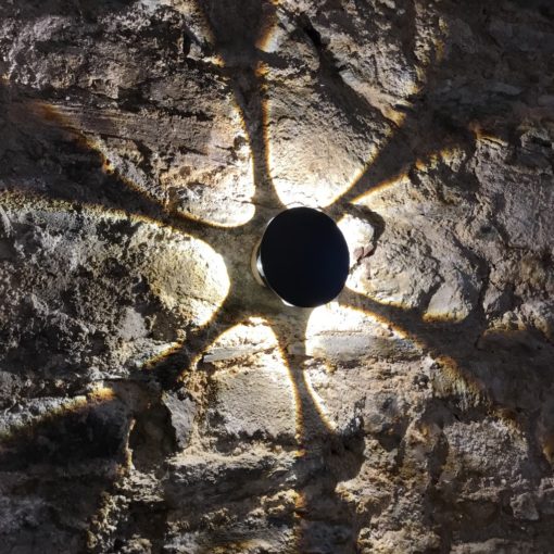Flower exterior wall light