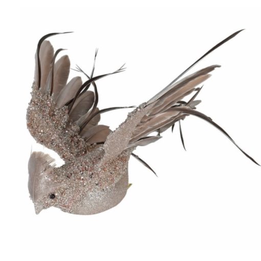 Mink paradise bird