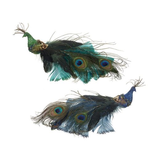 Festive peacocks turquoise