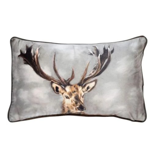 Forest stag