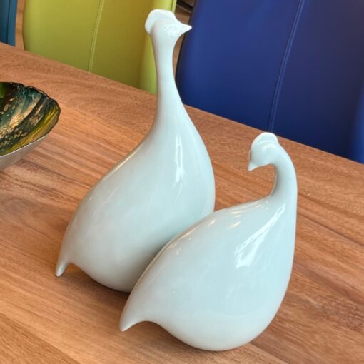 Long necked birds