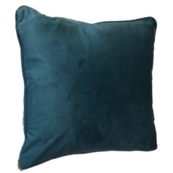 Alternative view of Ocean