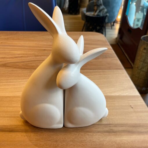 Loving bunnies pair