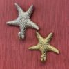 Starfish hooks
