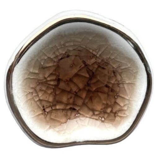 Brown gold pod knob