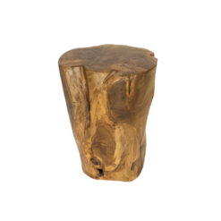 Alternative view of Teak log root side table
