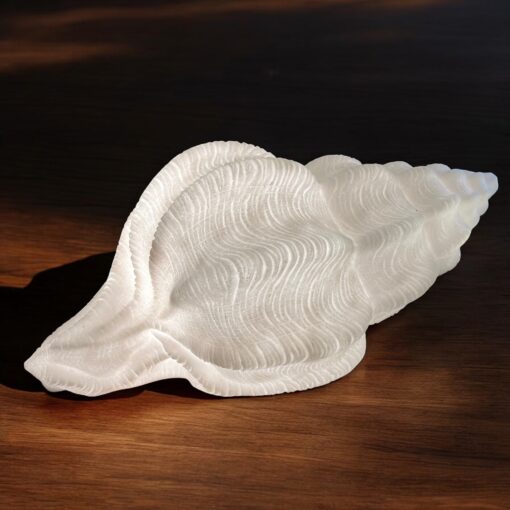 Shell conch lamp
