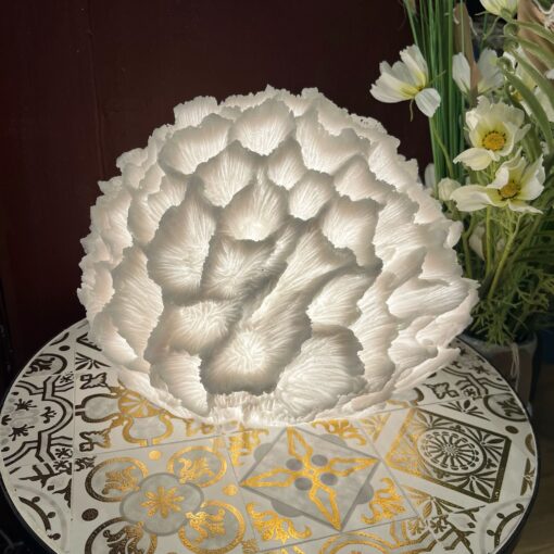 Coral lamp