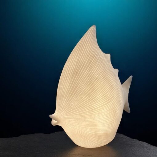 Angel fish lamp