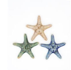 Ocean ceramic starfish