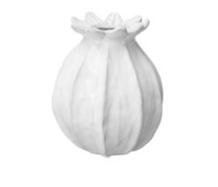 Poppy seed head vase white medium